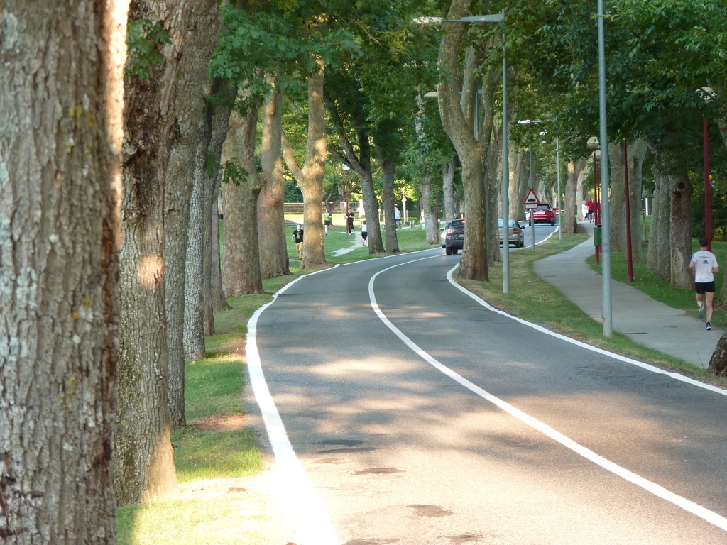 No s'ha trobat l'arxiu